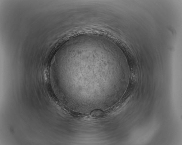X0000112761490200908271608