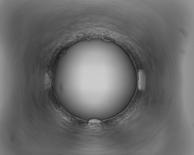 X0000112761491200908271608