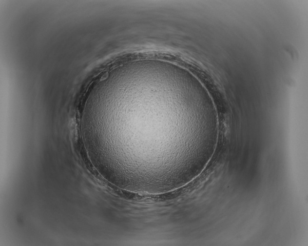 X0000112761493200908271608