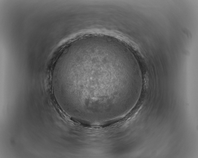 X0000112761494200908271608