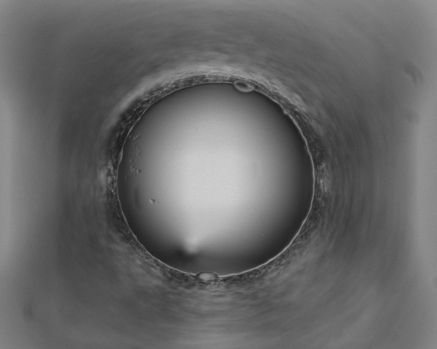 X0000112761495200908271608