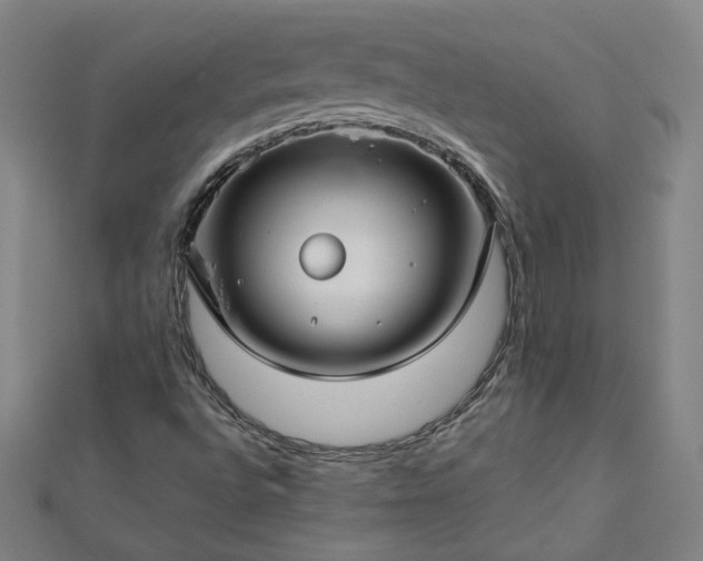 X0000112761496200908271608