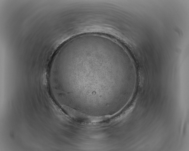 X0000112761497200908271608