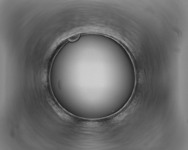 X0000112761499200908271608