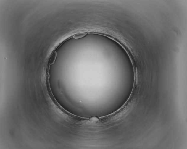 X0000112761500200908271608