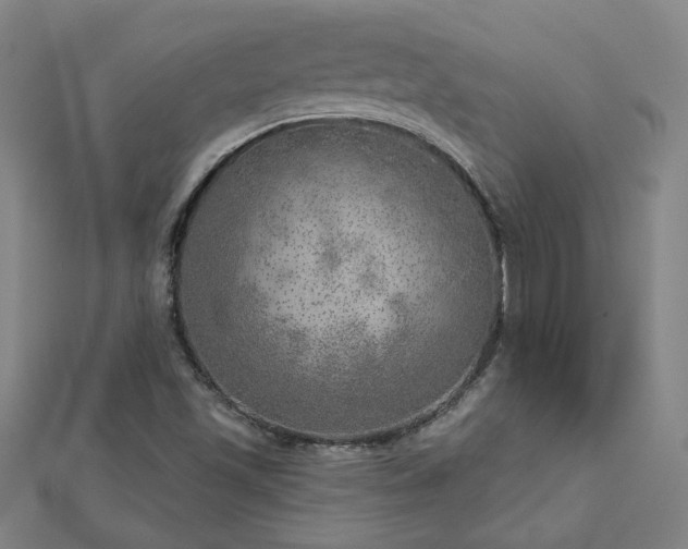 X0000112761501200908271608