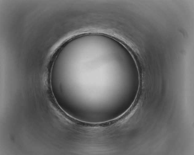 X0000112761502200908271608