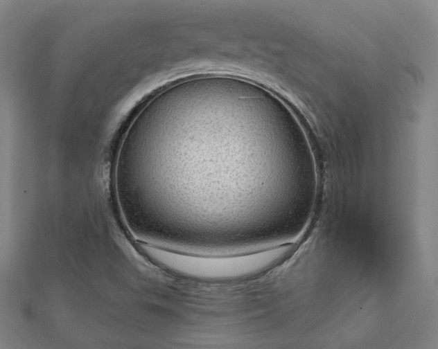 X0000112761503200908271608