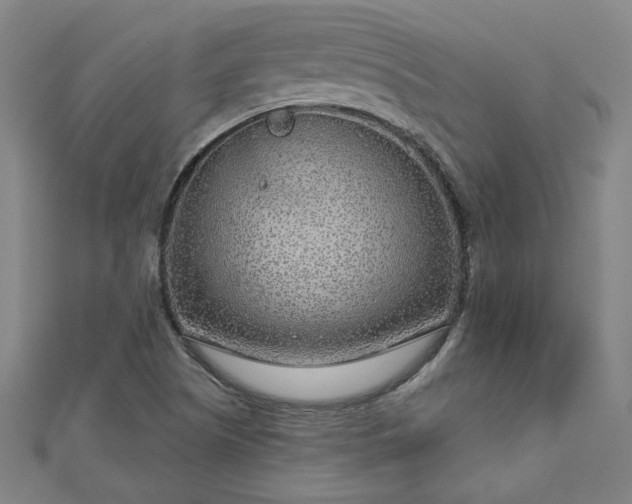 X0000112761505200908271608