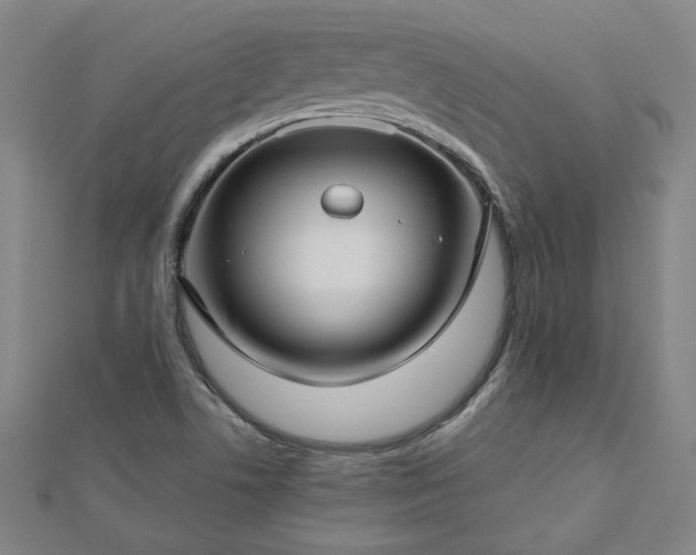 X0000112761506200908271608
