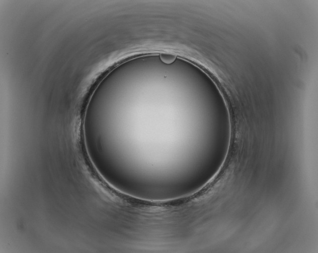 X0000112761507200908271608