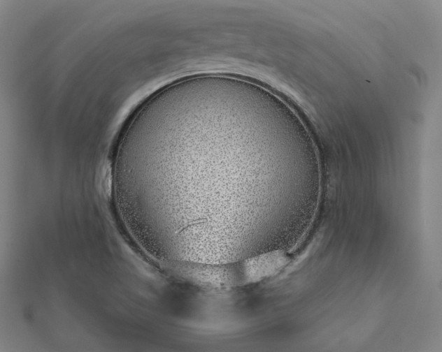 X0000112761509200908271608