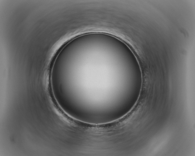 X0000112761511200908271608