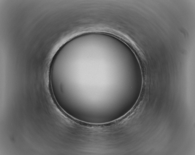 X0000112761512200908271608