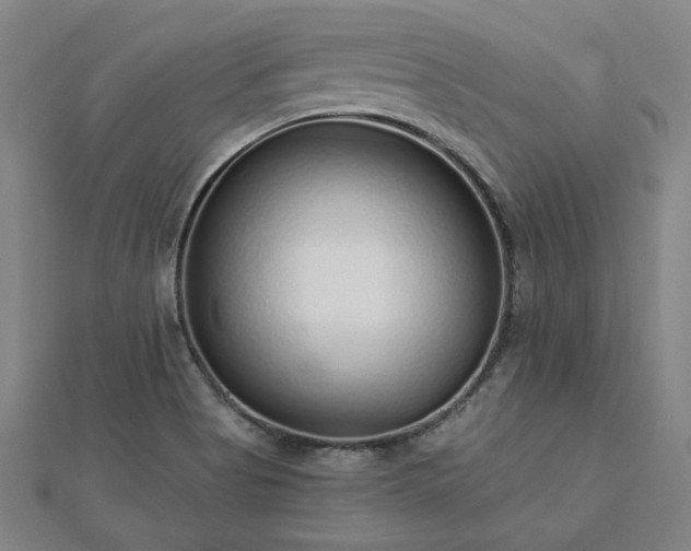 X0000112761513200908271608