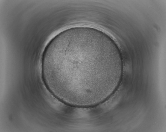 X0000112761514200908271608