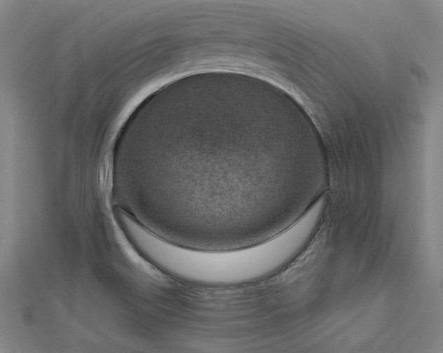 X0000112761515200908271608
