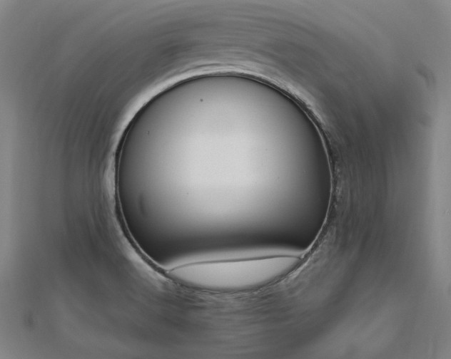 X0000112761516200908271608