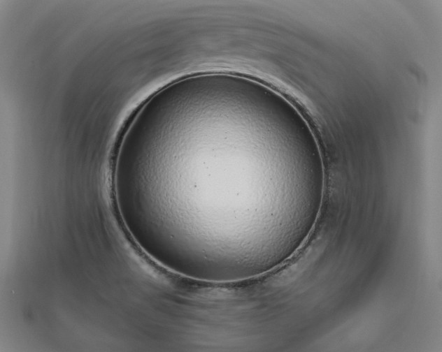 X0000112761517200908271608