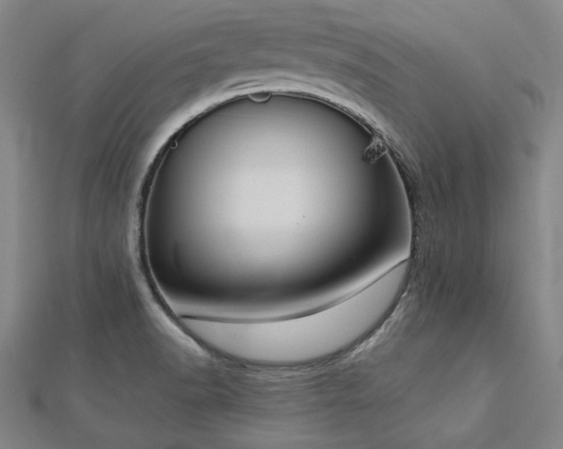 X0000112761518200908271608