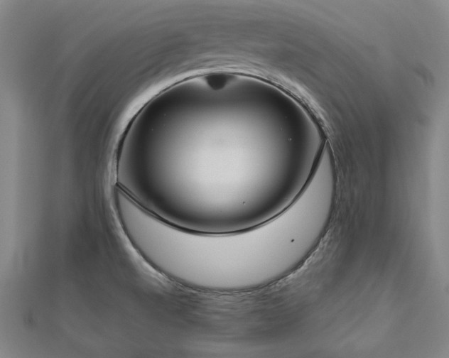 X0000112761520200908271608
