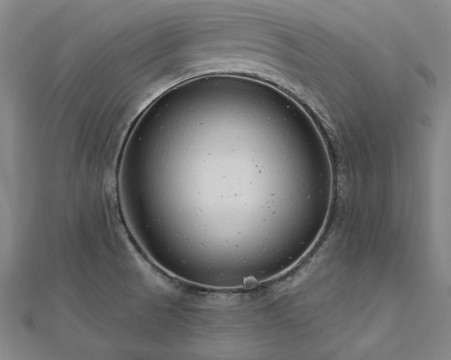 X0000112761521200908271608