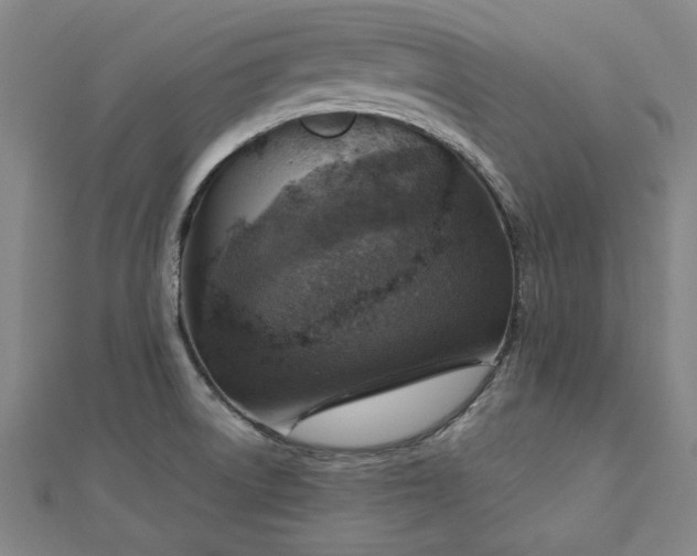 X0000112761522200908271608