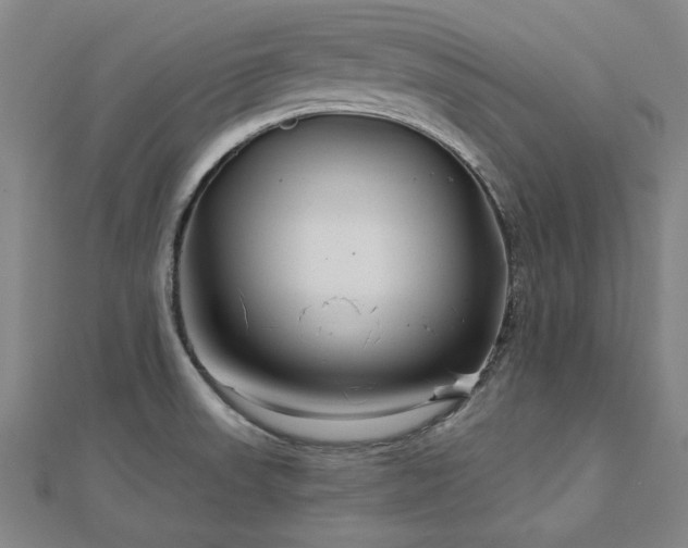 X0000112761523200908271608