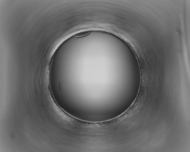 X0000112761524200908271608