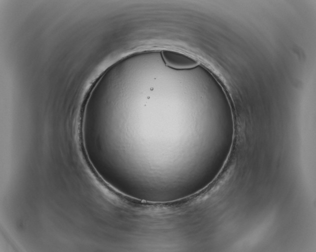 X0000112761525200908271608