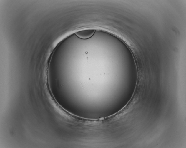 X0000112761526200908271608