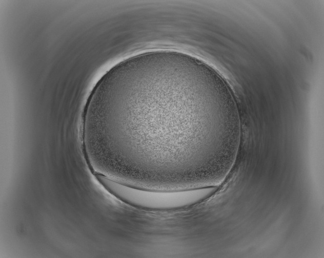 X0000112761527200908271608