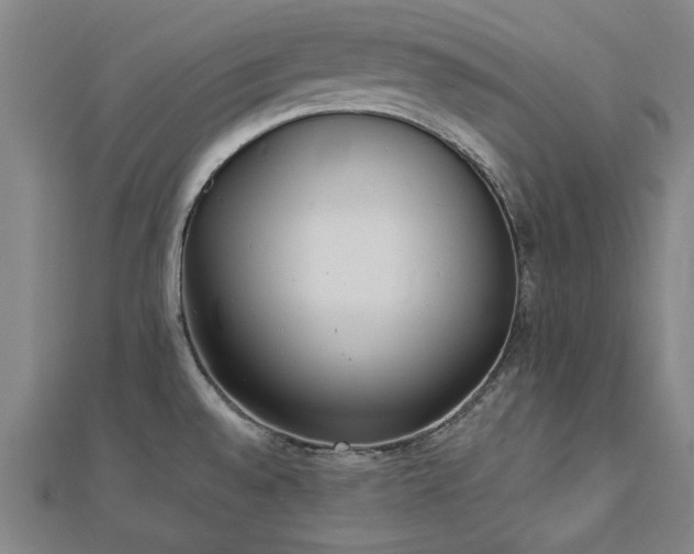X0000112761528200908271608