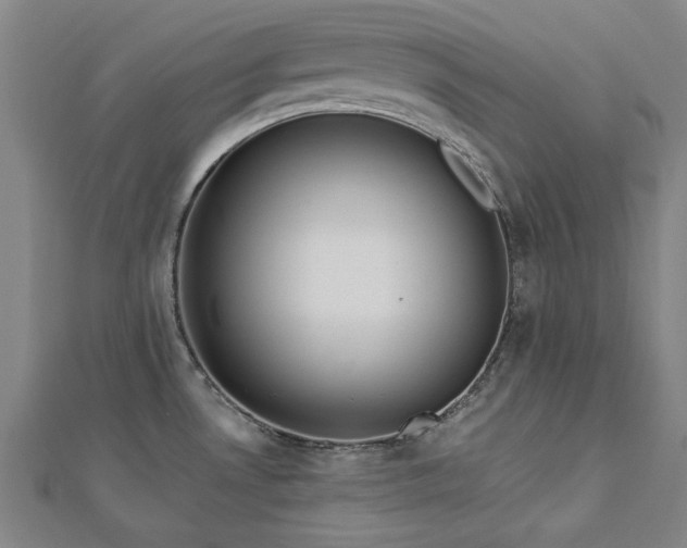 X0000112761530200908271608