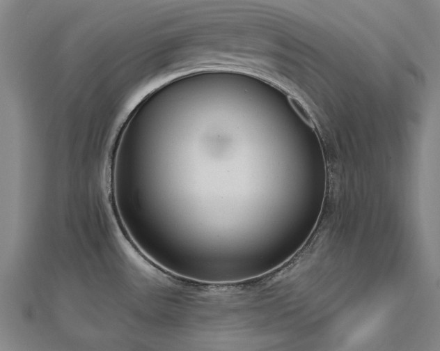 X0000112761531200908271608
