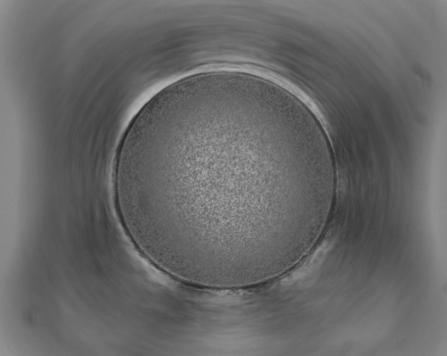 X0000112761533200908271608