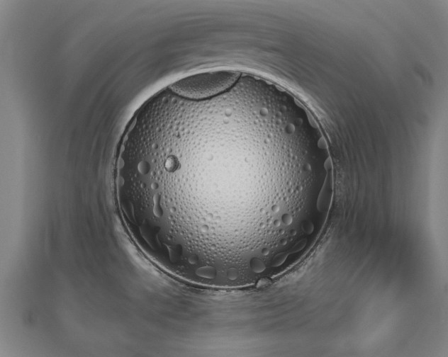 X0000112761534200908271608