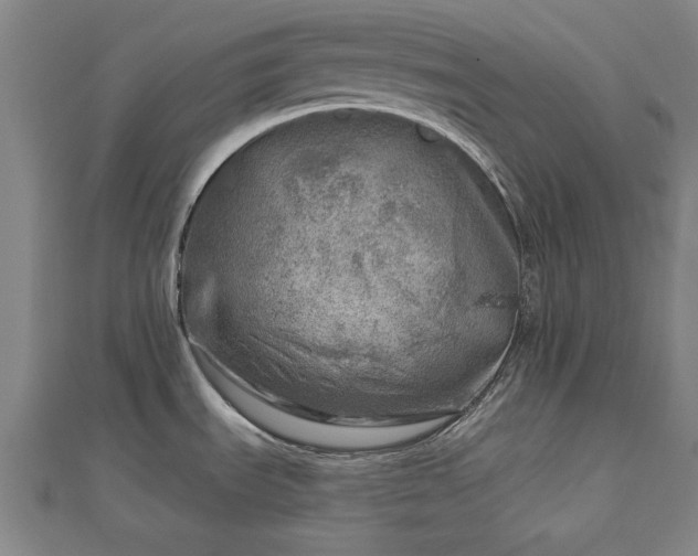 X0000112761535200908271608