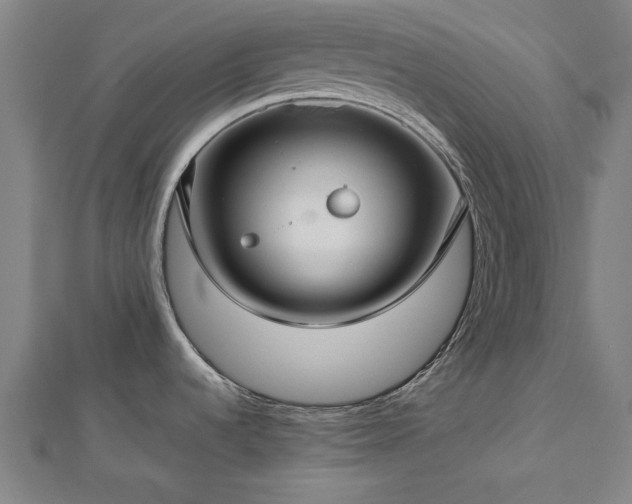 X0000112761536200908271608