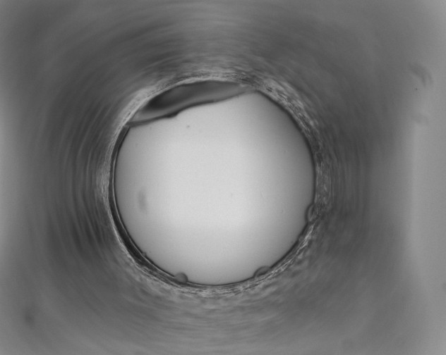 X0000112760003200909031557
