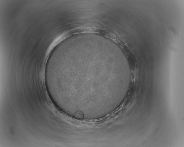 X0000112760004200909031557