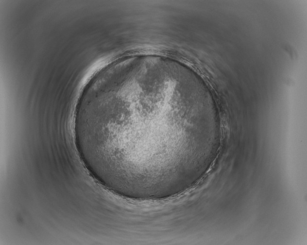 X0000112760006200909031557