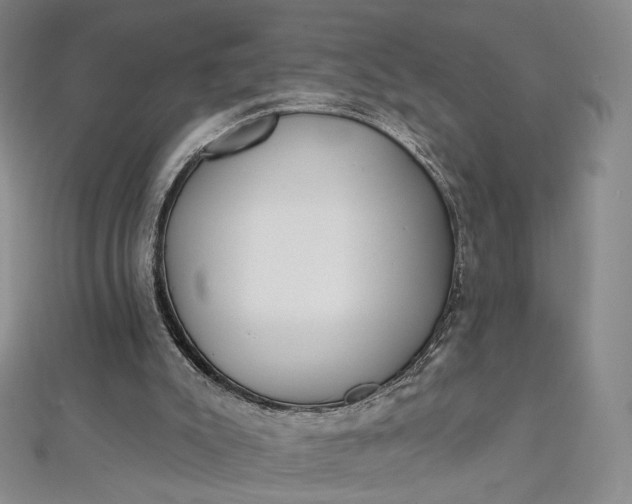 X0000112760007200909031557