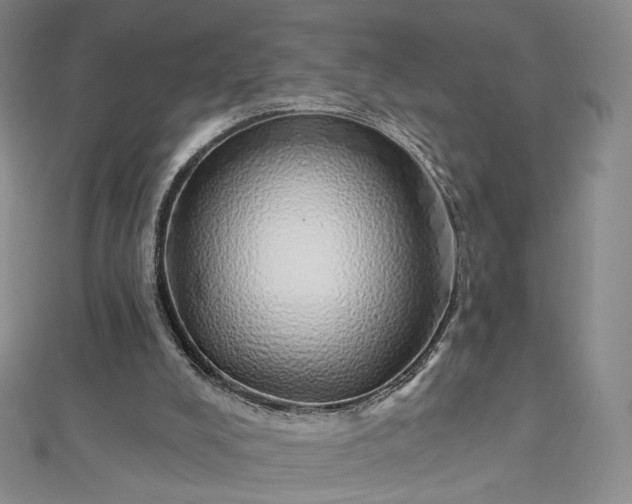 X0000112760008200909031557