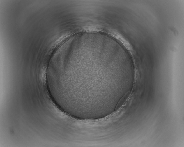 X0000112760009200909031557