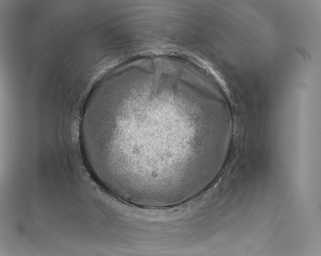 X0000112760010200909031557