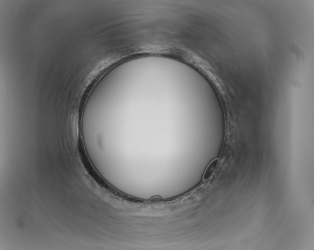 X0000112760011200909031557
