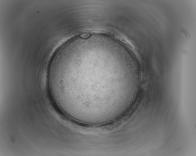 X0000112760012200909031557