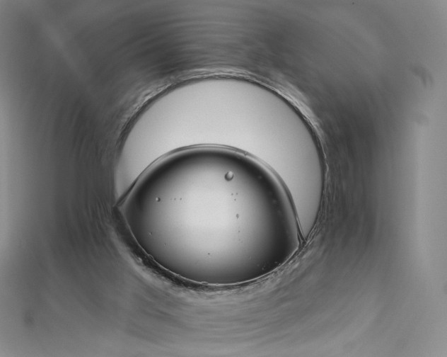 X0000112760013200909031557