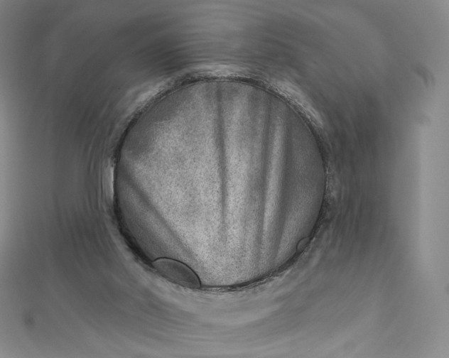 X0000112760014200909031557